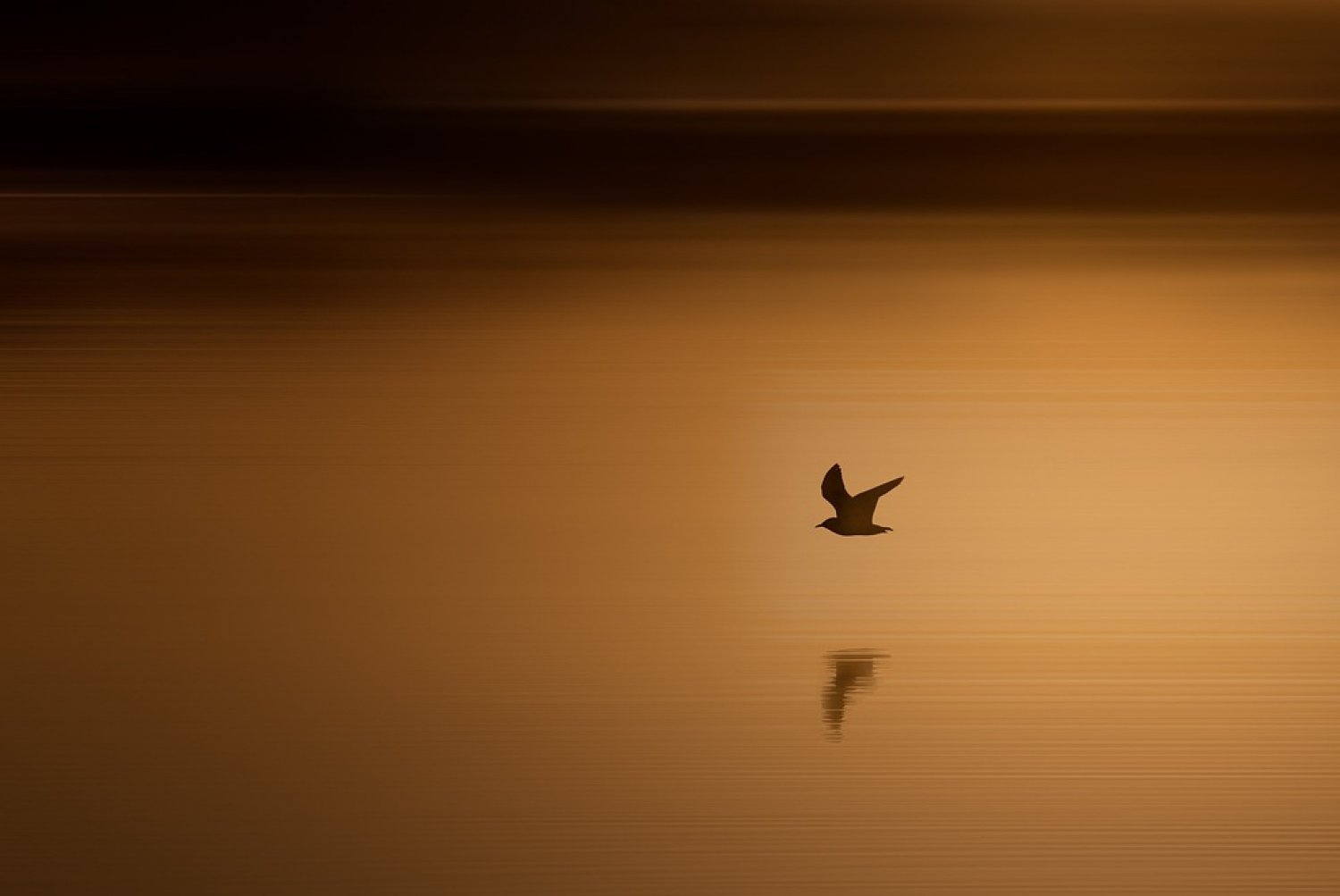 Séverine - Libération émotionnelle - 