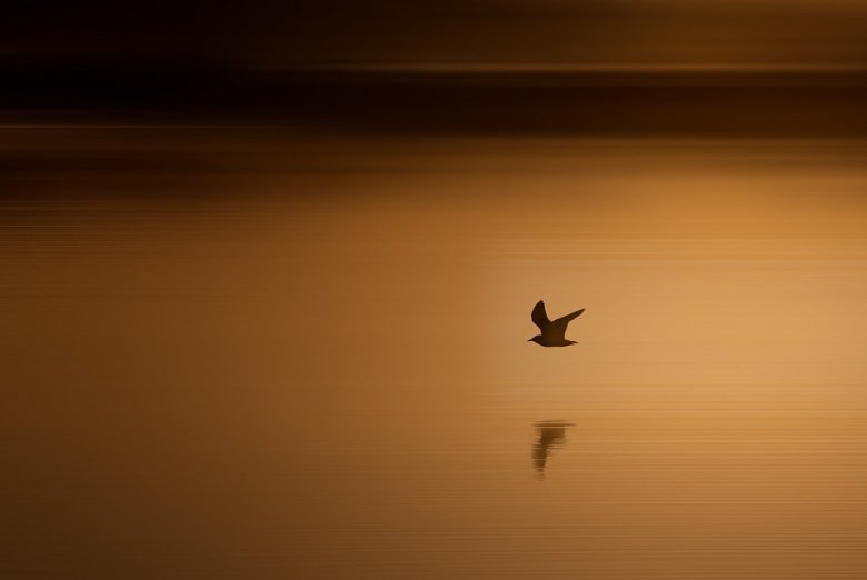Séverine - Libération émotionnelle - 